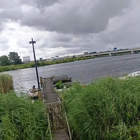 Need, A Comfy Place Amsterdam